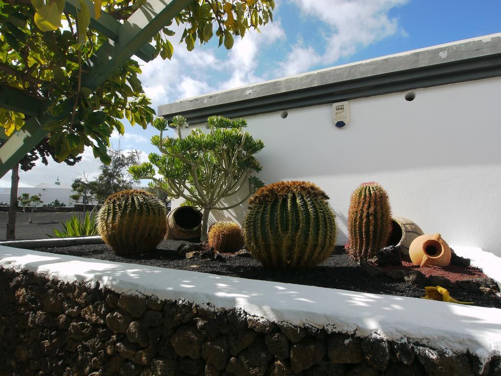 Apartamentos Guacimeta Matagorda  Exterior foto